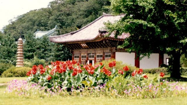 북한 묘향산에 위치한 보현사. 북한에서 가장 큰 사찰로 알려져 있다 