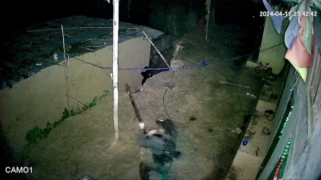 훼손하는 모습이 담긴 CCTV 장면