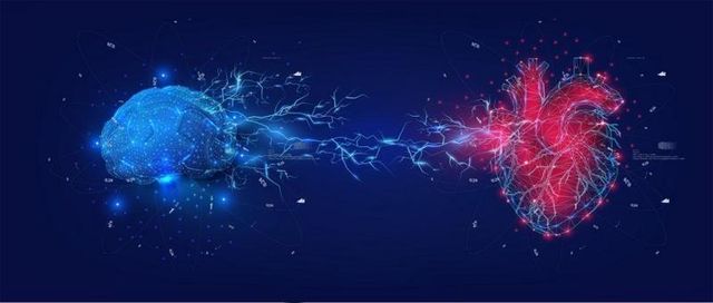 뇌와 심장을 나타낸 일러스트