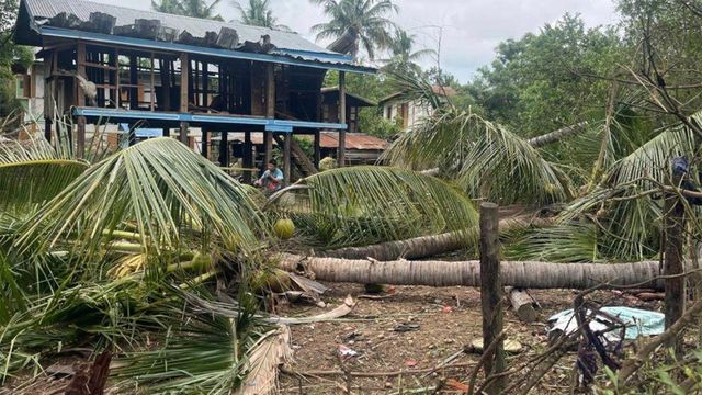 파괴된 집과 바닥에 쓰러진 나무