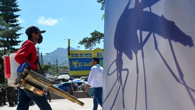 이번 달 뎅기열 유행에 맞서 온두라스에서 소독 중인 모습
