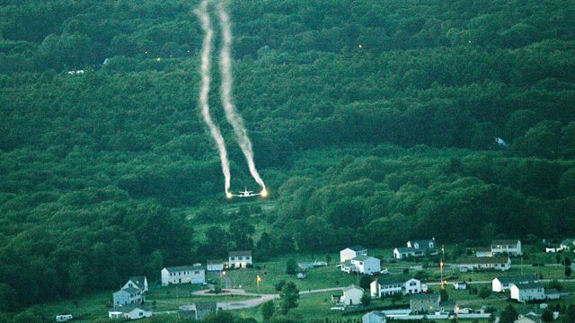 매사추세츠 상공에서 살충제를 살포하는 비행기