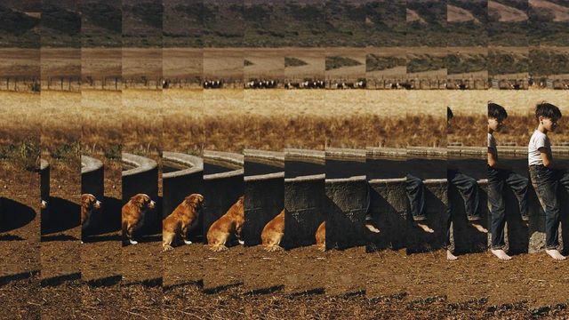밖에서 노는 소년과 강아지