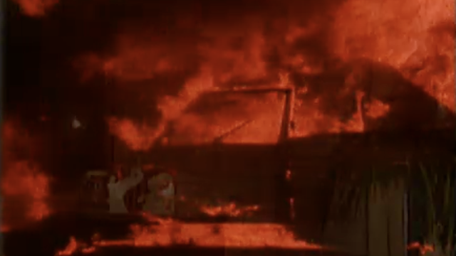 폭동 한가운데서 불타는 자동차