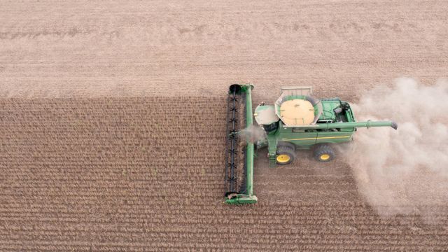 오하이오주의 대두 수확 현장
