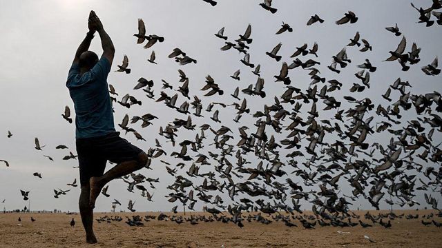 야외에서 요가 중인 사람의 모습