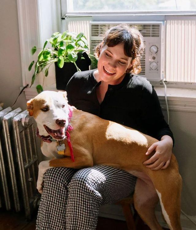 빨간 스카프를 두르고 주인 품에 안겨있는 개 