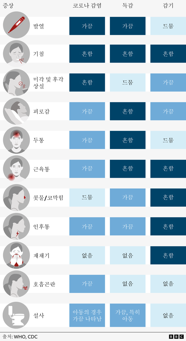 코로나, 독감, 감기의 다양한 증상 비교