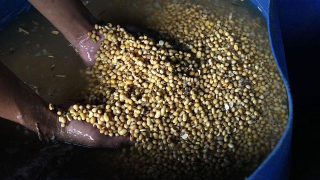 콩을 푸는 모습