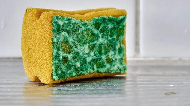 설거지용 스펀지