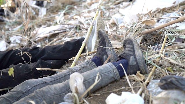 시신 2구의 다리