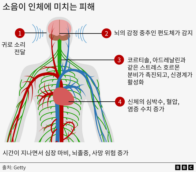 소음이 어떻게 인체에 해를 끼치는지 보여주는 그래픽