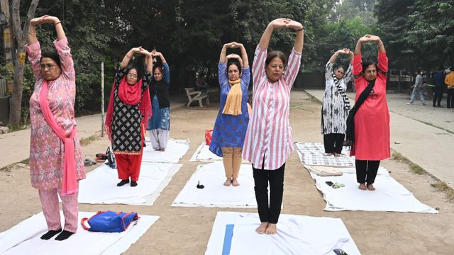 야외에서 함께 요가하는 여성들의 모습