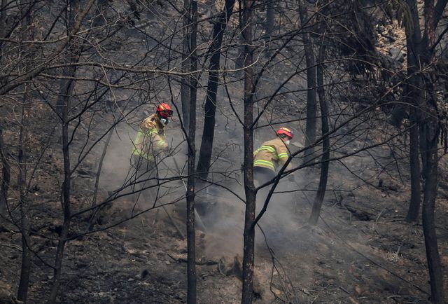 산불 진화 작업을 벌이는 소방대원들