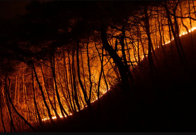한국 경북 일대에서 역대급 산불이 발생해 피해가 확산하고 있다 
