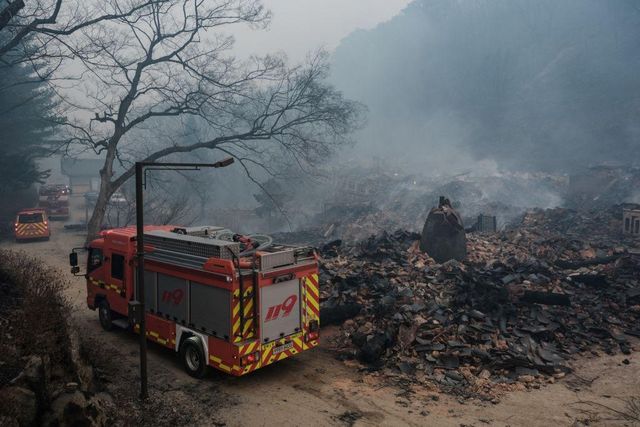 산불이 휩쓸고 간 고운사
