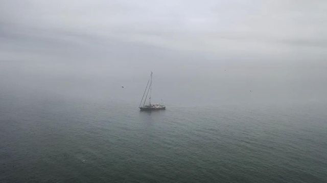 드미트리 코크는 러시아 북동쪽 추코트카 반도 주변을 항해하던 중에 북극곰을 발견했다