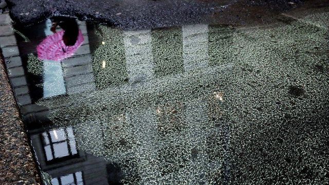 빗물에 고여 있는 꽃가루