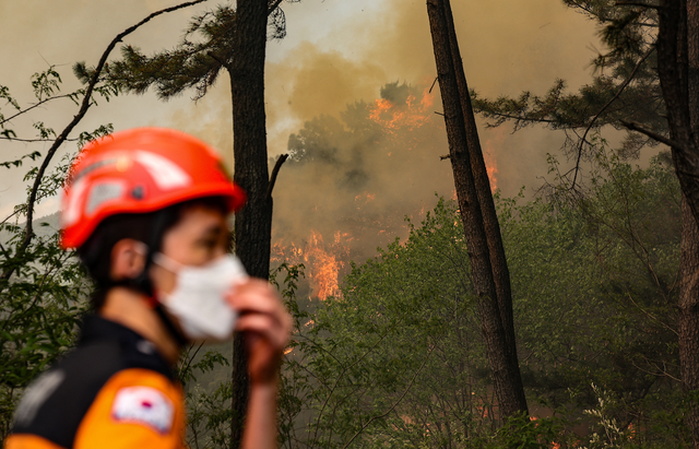 28일 오후 2시 1분께 대구 북구 노곡동 함지산에서 불이 났다. 