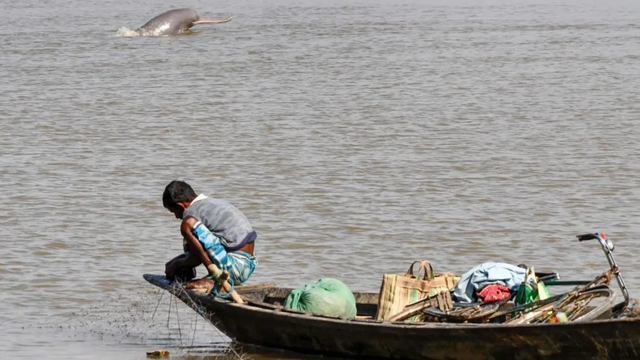 인도의 어린이가 갠지스강에서 어망을 만지고 있다