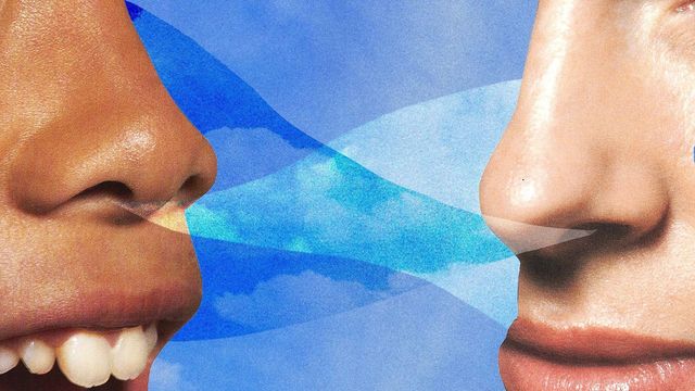 코로 호흡하는 두 쌍의 코 이미지