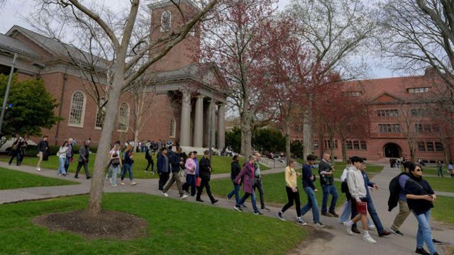 매사추세츠주 케임브리지에 위치한 하버드 대학 캠퍼스