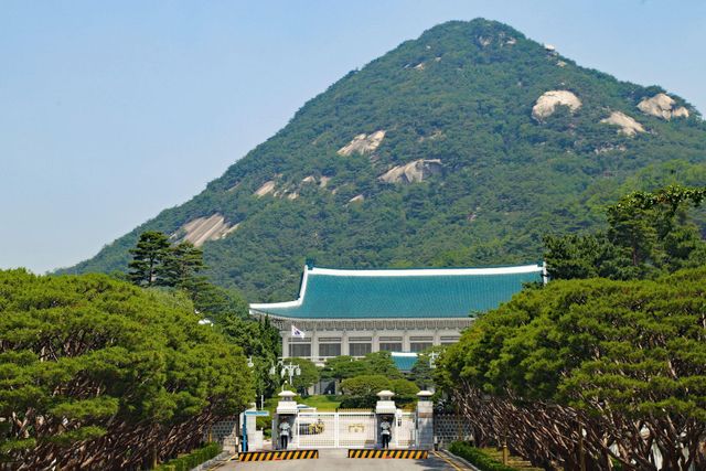 청와대 