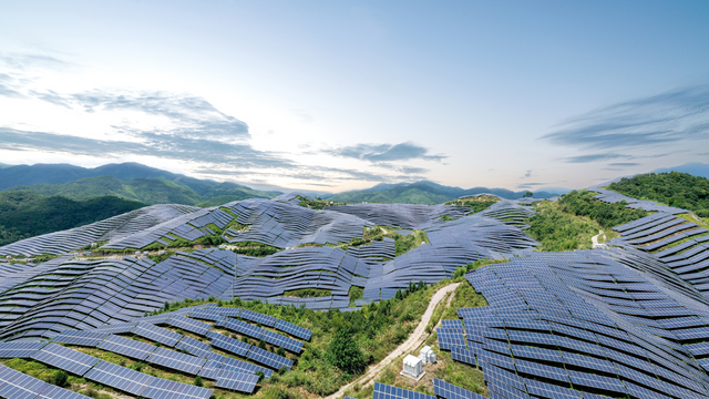 태양광 패널로 덮여 있는 언덕 지대