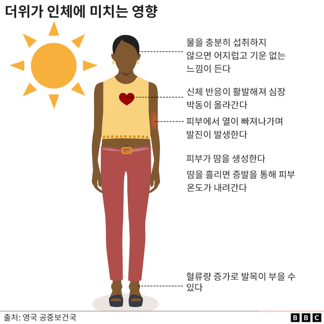 열이 인체에 미치는 영향을 나타낸 그림