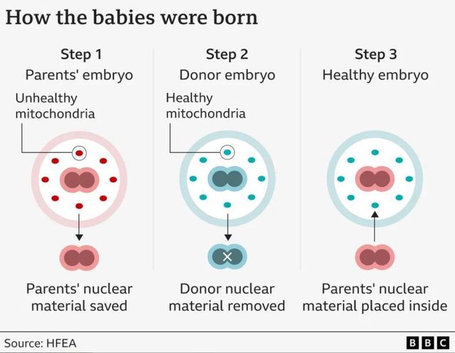 아이가 태어나는 3단계를 보여주는 그래프 