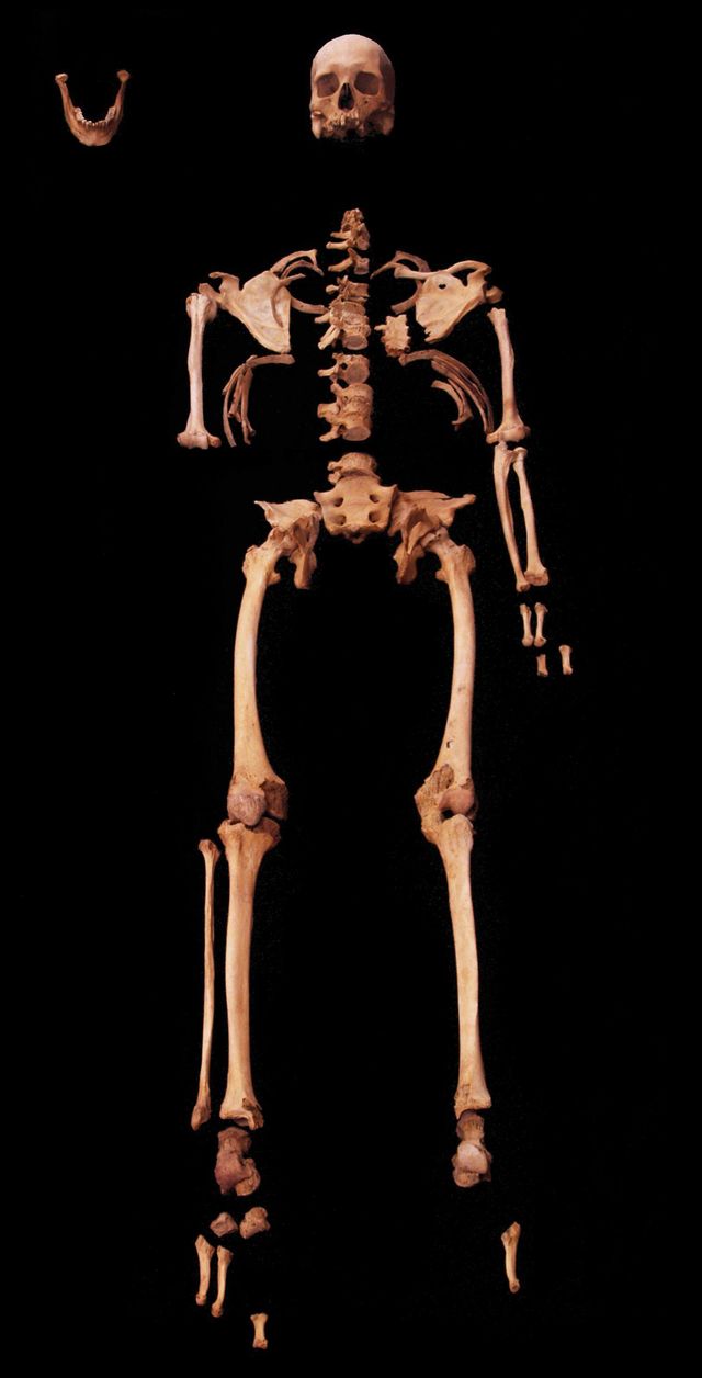 그 골격은 그 남성의 삶에 대한 놀라운 세부 사항들을 밝혀냈다