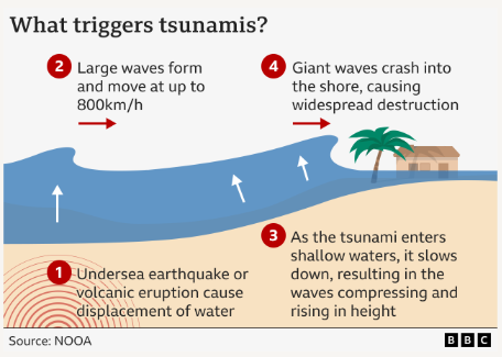 쓰나미가 생성되는 4단계 과정