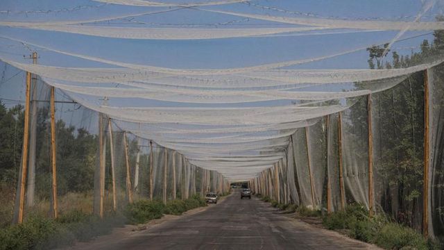 우크라이나 도네츠크 지역의 한적한 시골 도로에 설치된 드론 차단 그물망