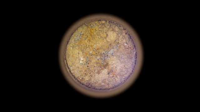 주황색 배경에 흰색, 회색, 검은색 점들이 흩어진 암석 단면