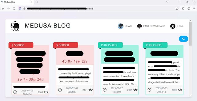 메두사 조직의 다크넷 웹사이트
