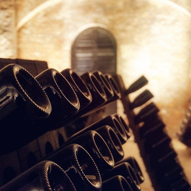 거꾸로 보관된 샴페인 병들