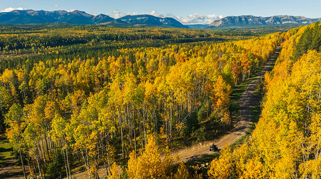이 탐방로는 보행자, 자전거 이용자, ATV 운전자, 크로스컨트리 스키어 모두에게 적합할 만큼 비교적 평탄하다