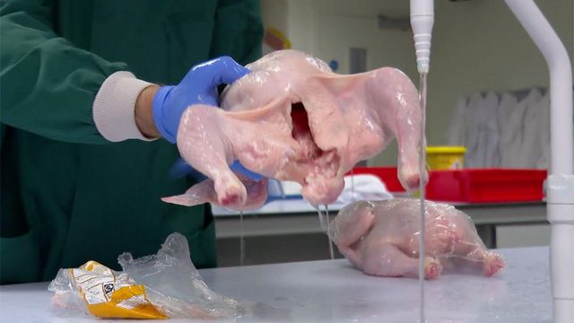 파란색 일회용 장갑을 낀 한 사람이 실험실에서 흐르는 수돗물 아래에 생닭 한 마리를 들고 씻고 있는 모습이 포착됐다. 옆에는 포장된 또 다른 생닭이 놓여 있다. 배경에는 실험용 가운들이 걸려 있는 것이 보인다.
