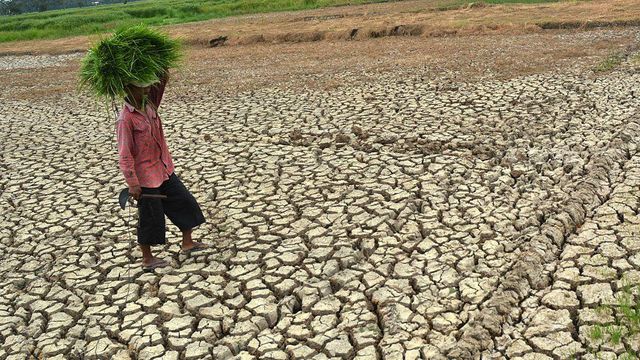 가뭄으로 말라버린 땅