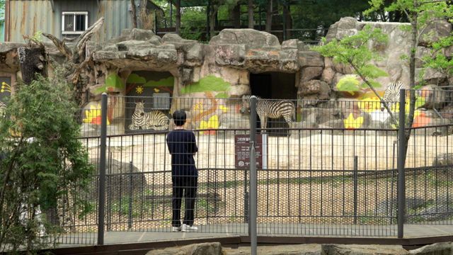 세로가 방사장 한 구석에 홀로 서있고, 방문객 남성이 그 모습을 바라보고 있다
