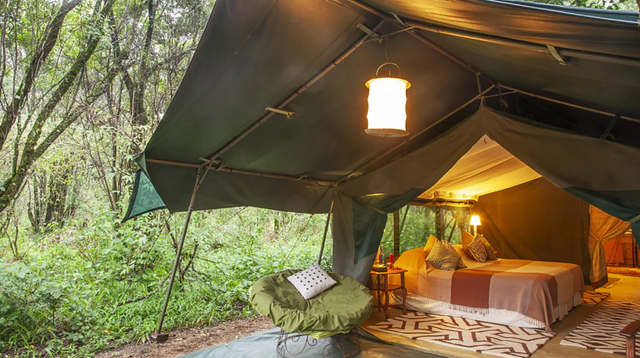 고급 사파리 캠프에 참여한 여행자들 중에도 자연과의 밀접한 접촉을 불편하게 느끼는 사례가 있다