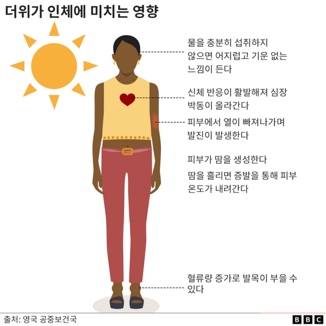 더위가 인체에 미치는 영향