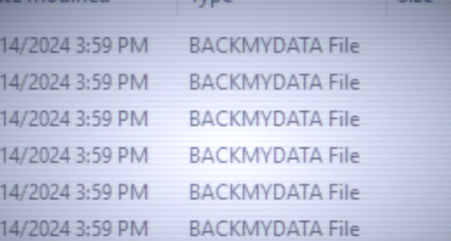 파일명이 'BACKMYDATA'로 된 다수의 컴퓨터 파일이 보이는 스크린샷