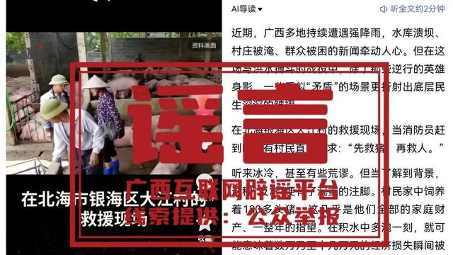 마을 주민들이 구조대원들에게 사람보다 돼지를 먼저 구조해달라고 했다는 내용