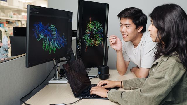 모니터 속 다채로운 3차원 분자 또는 단백질 구조 모델을 바라보고 있는 실험실 직원들의 모습