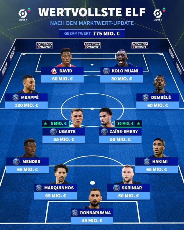 사진=트랜스퍼 마크트