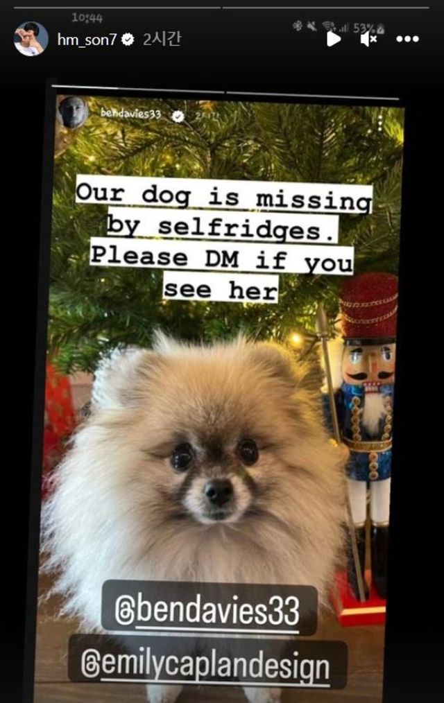 사진= 손흥민 SNS