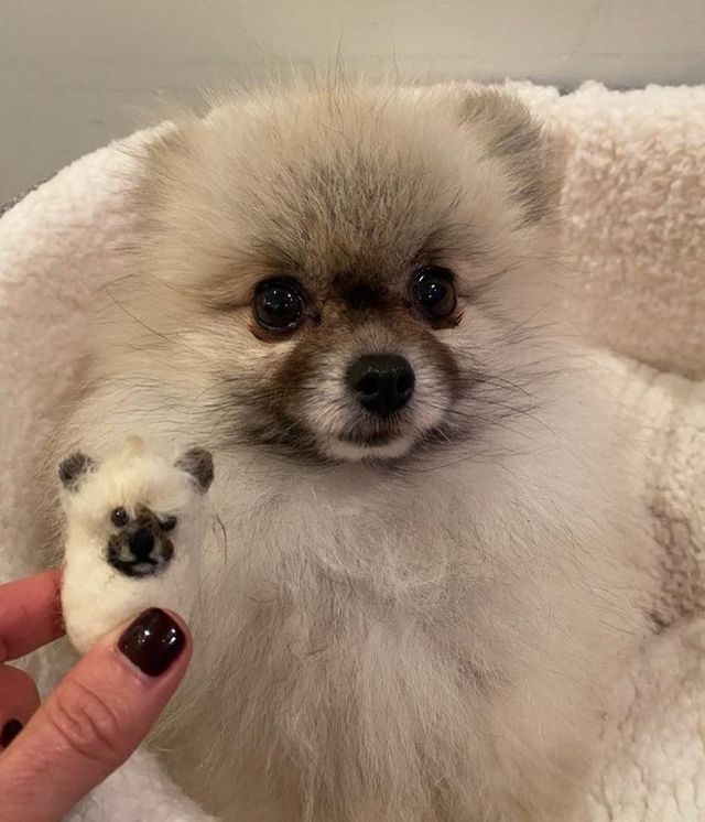 사진= 데이비스 SNS