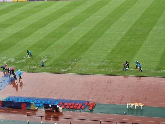 사진=알레스데어 골드