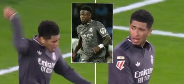 사진 = 트리뷰나